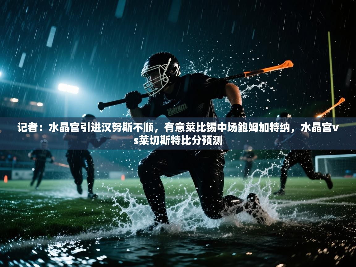 爱体育游戏网站-记者：水晶宫引进汉努斯不顺，有意莱比锡中场鲍姆加特纳，水晶宫vs莱切斯特比分预测  第1张