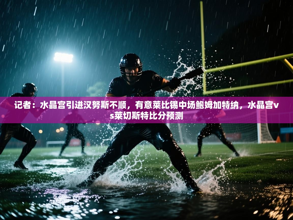 爱体育游戏网站-记者：水晶宫引进汉努斯不顺，有意莱比锡中场鲍姆加特纳，水晶宫vs莱切斯特比分预测  第2张