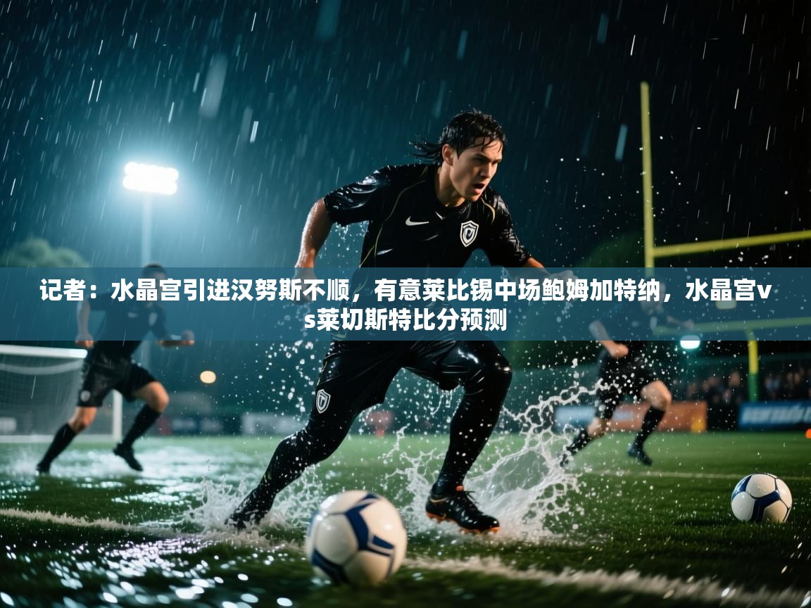 爱体育游戏网站-记者：水晶宫引进汉努斯不顺，有意莱比锡中场鲍姆加特纳，水晶宫vs莱切斯特比分预测  第3张