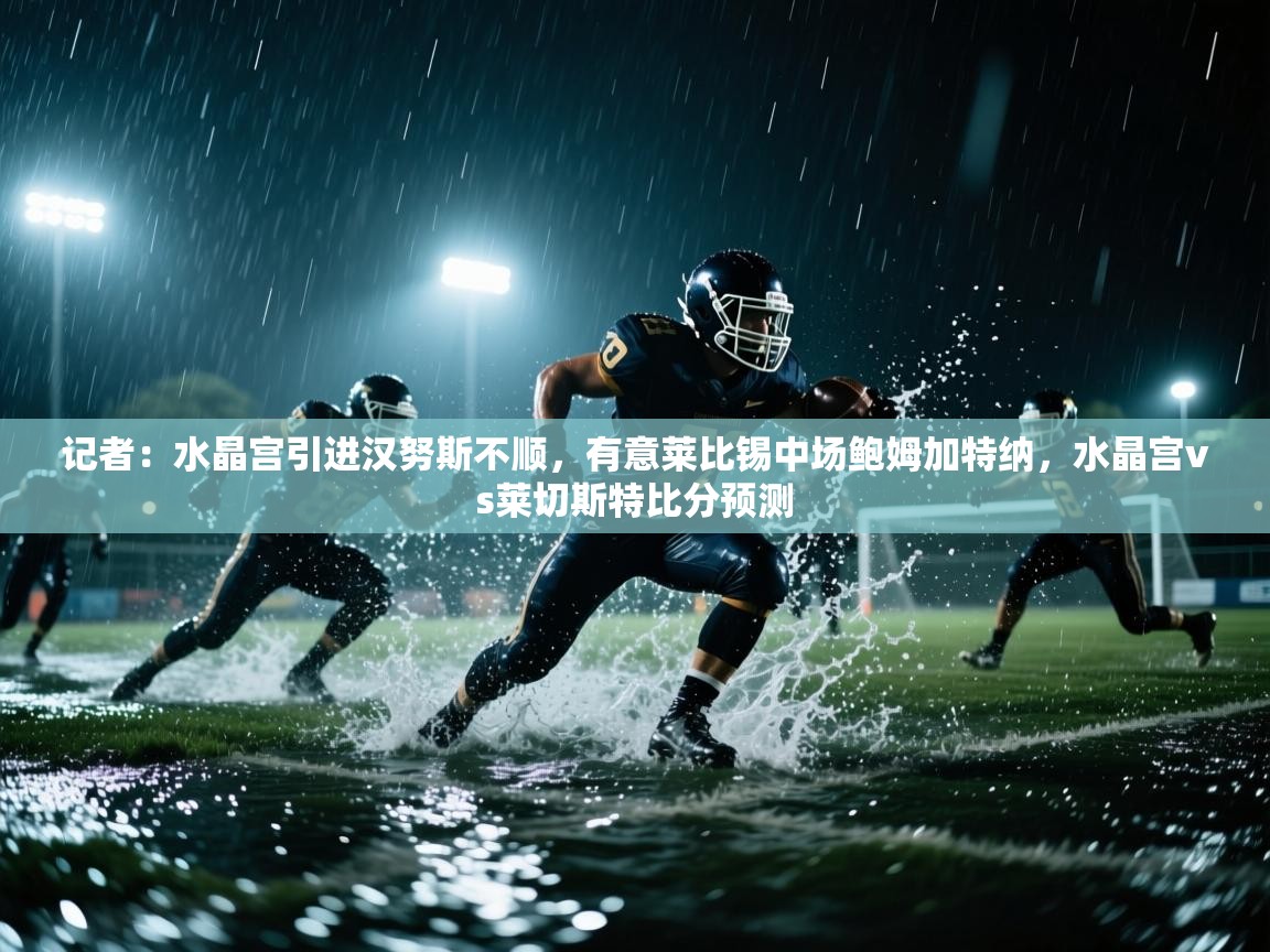 爱体育游戏网站-记者：水晶宫引进汉努斯不顺，有意莱比锡中场鲍姆加特纳，水晶宫vs莱切斯特比分预测  第4张