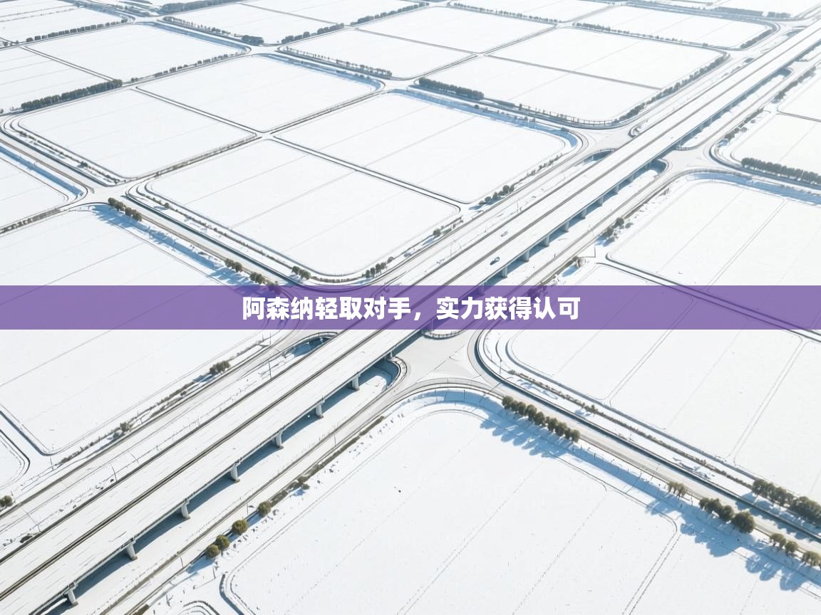 爱游戏体育下载-阿森纳轻取对手,实力获得认可 第3张