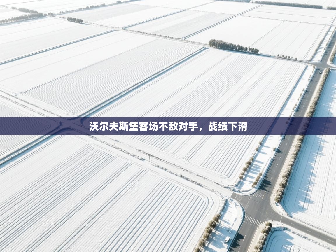 爱游戏体育app-沃尔夫斯堡客场不敌对手，战绩下滑  第3张